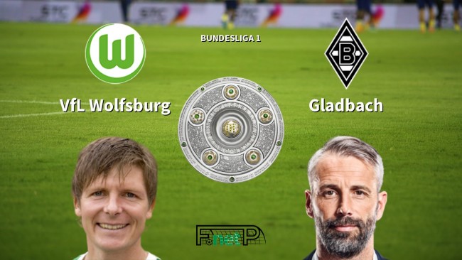 中锋低位背打技巧解析（中锋低位单打要领详解）